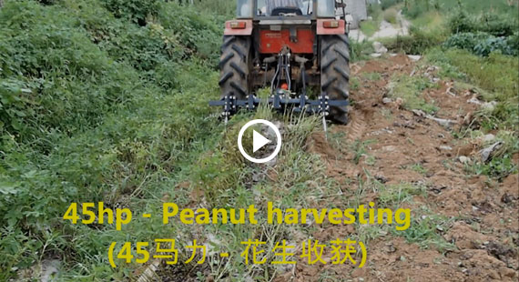 45hp Peanut harvesting thumbnail image